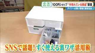 新生活に役立つ「ダイソー」の便利グッズ！SNSでバズり中の収納ボックス活用法から、ひとり暮らしの必須アイテムまで