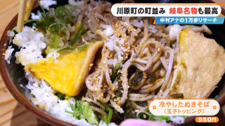 岐阜城だけじゃない！絶景、名物「冷やしたぬきそば」、伝統行事まで満喫♡ 岐阜城周辺の感動スポット3選