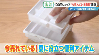 「カバンに入れておける」手のひらサイズのレインコートが大人気！「ダイソー」で買える夏の便利グッズを紹介