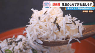 「過去イチおいしい」フワッフワのしらす丼にCBC中村アナ大興奮！とれたて30分以内の生しらすも！？愛知・篠島の感動スポット3選