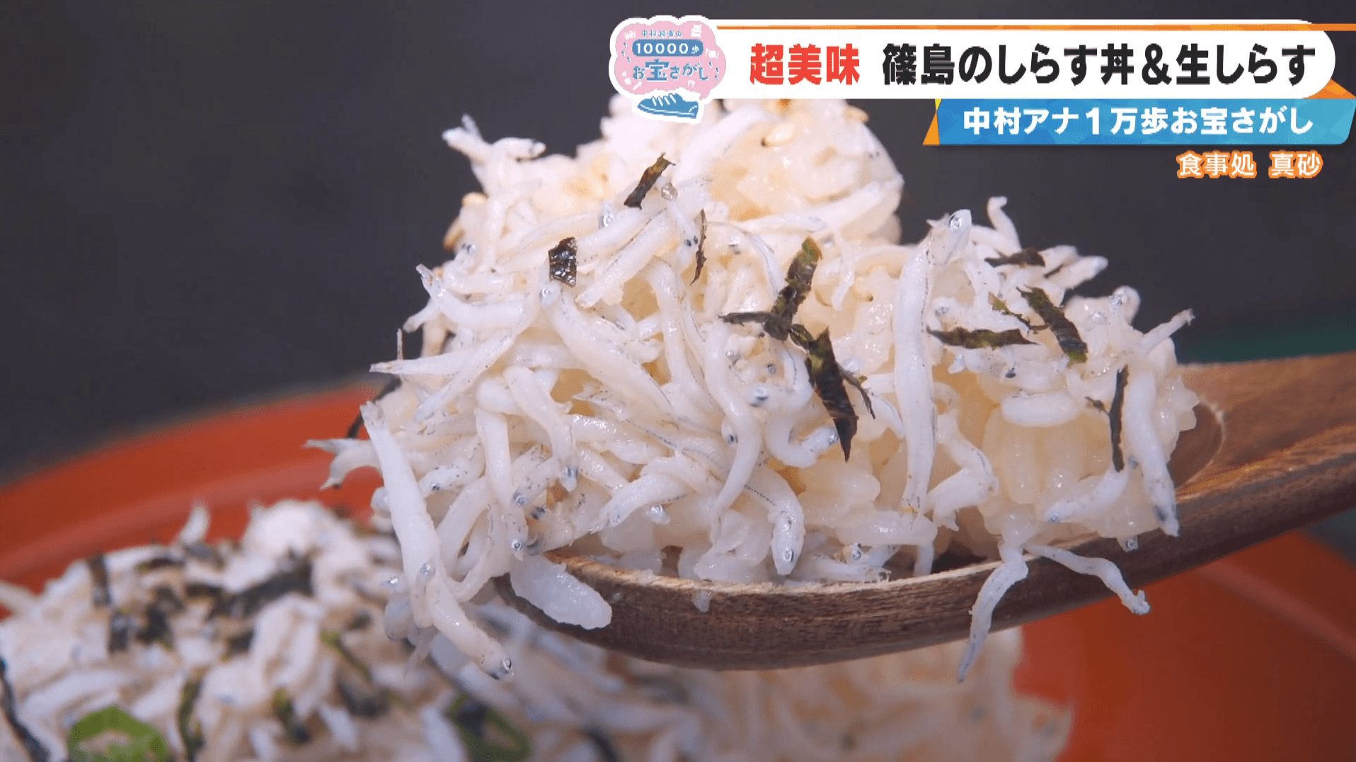 「過去イチおいしい」フワッフワのしらす丼にCBC中村アナ大興奮！とれたて30分以内の生しらすも！？愛知・篠島の感動スポット3選
