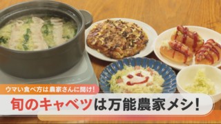 【農家メシ】キャベツ王国で聞く!キャベツをいっぱい食べられる激うまレシピ!【チャント!特集】