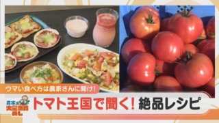 炊き込みご飯にゴーヤーチャンプルー!?トマト王国の絶品トマトレシピとは?【チャント!特集】