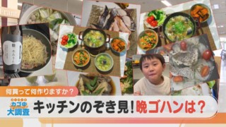【密着】その食材で何を作りますか？お宅の晩ご飯 撮らせて下さい！【チャント！特集】