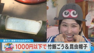 【夏休み満喫WEEK】1家族300円で楽しめる！おかざき自然体験の森【チャント！】