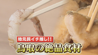 幻の食材の宝庫！？鳥取県でアポなし旅 今しか食べられない“ばばちゃん”とは？【春のお出かけWEEK】