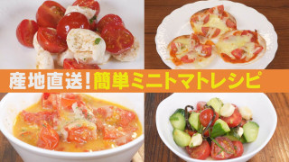 ミニトマトは主役になる！ピクルス、そうめん、ご飯にも！絶品農家メシ！【チャント！特集】