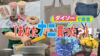 便利グッズにコスパ抜群活用術も!?ダイソーで調査、あなたナニ買った?【チャント!特集】