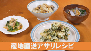 今が旬のアサリ!漁師さん直伝の激うまレシピとは?【チャント!特集】