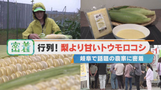 梨より甘い？場所によっては約900円？高級トウモロコシが爆売れする理由は？【チャント！特集】