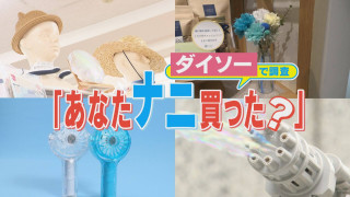 便利グッズにコスパ抜群活用術も!?ダイソーで調査、あなたナニ買った?【チャント!特集】