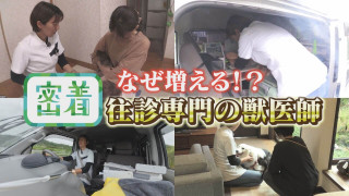 【密着】なぜ増える?往診専門動物病院 3年で倍に増える理由とは?【チャント!特集】