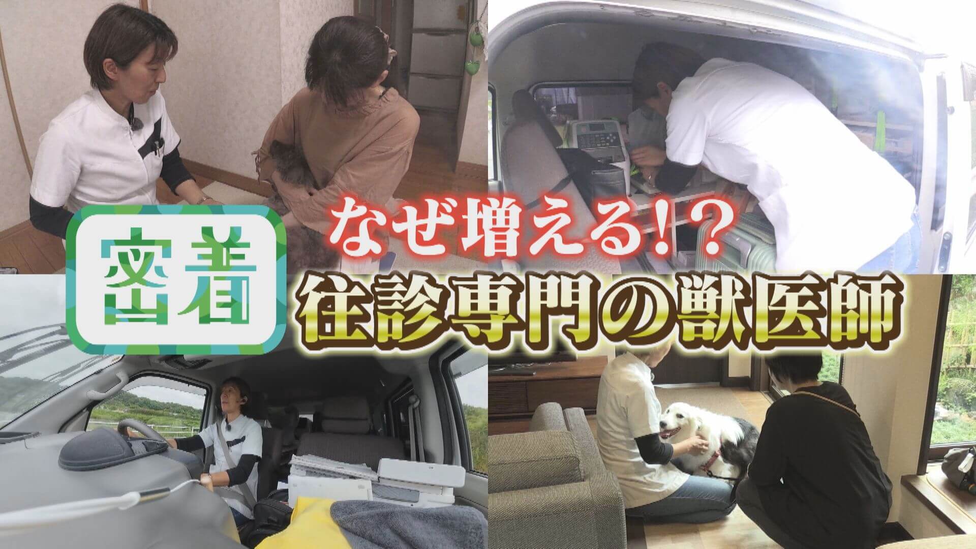 【密着】なぜ増える？往診専門動物病院　3年で倍に増える理由とは？【チャント！特集】