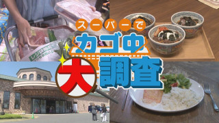 【密着】その食材で何を作りますか？お宅の晩ご飯 撮らせて下さい！【チャント！特集】