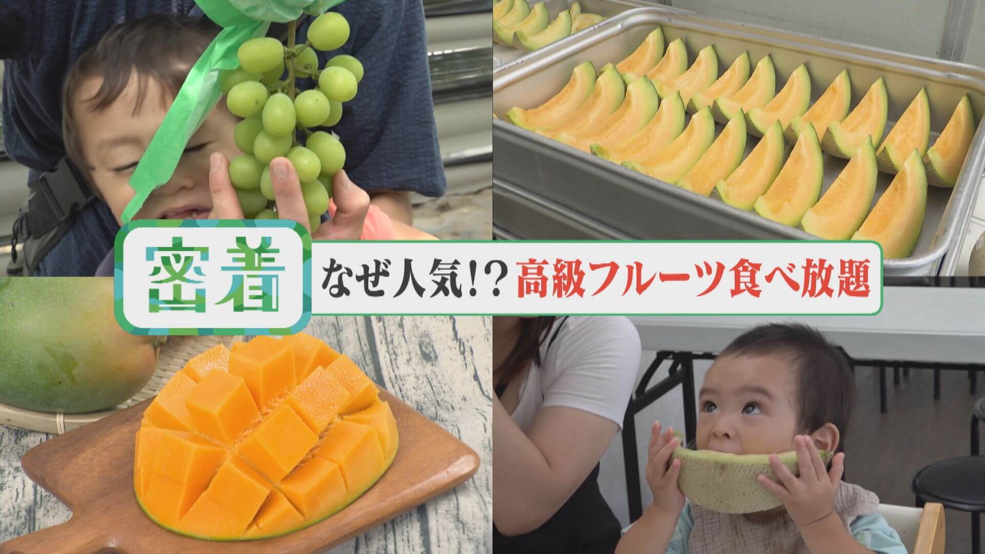 高級フルーツが食べ放題！？蒲郡オレンジパークで食べまくる！【チャント！特集】