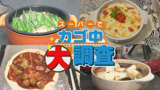 【密着】その食材で何を作りますか？お宅の晩ご飯 撮らせて下さい！【チャント！特集】