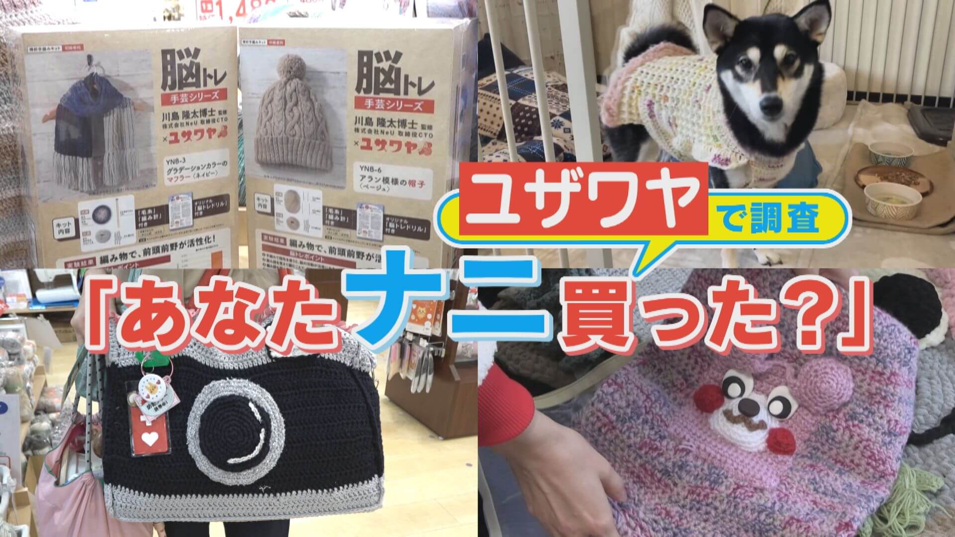 手芸の殿堂「ユザワヤ」であなたは“ナニ”買いましたか？【チャント！特集】