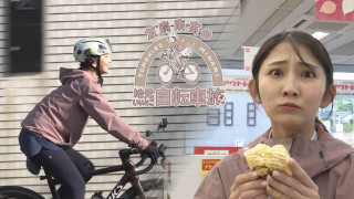友廣アナの自転車旅|のんほいパークでライオンの赤ちゃん?豊橋伝統のスイーツに感動!新城市~静岡・弁天島まで60kmの自転車旅