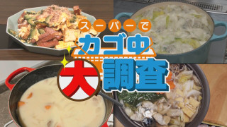 【密着】その食材で何を作りますか？お宅の晩ご飯 撮らせて下さい！【チャント！特集】