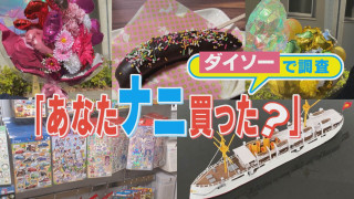 【ダイソーで何買った？】100円ショップ“今売れている商品”調査 ダイソーの買い物客に聞き込み！【チャント！特集】
