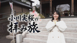 【小川実桜の拝み旅】春に楽しい知多市国お遍路巡り【チャント！特集】