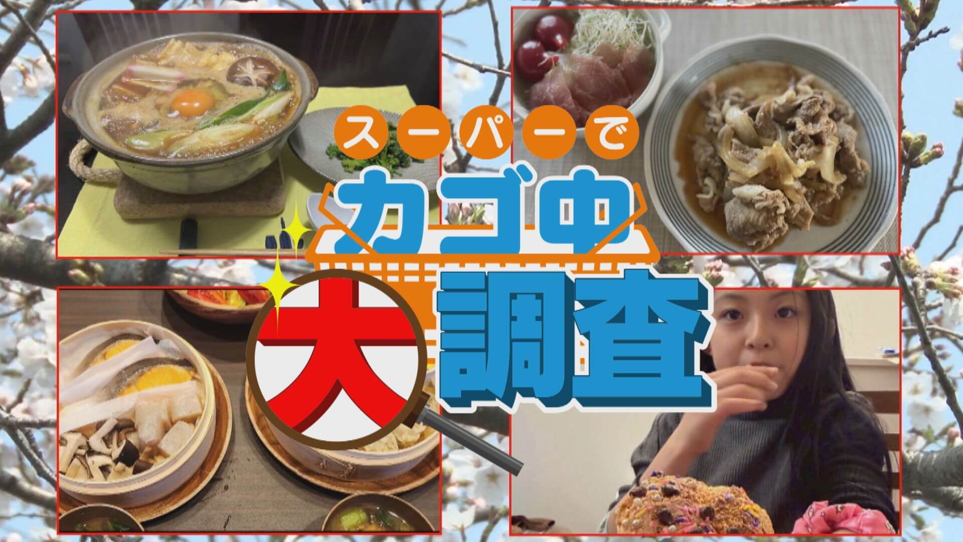 【密着】その食材で何を作りますか？お宅の晩ご飯 撮らせて下さい！【チャント！特集】