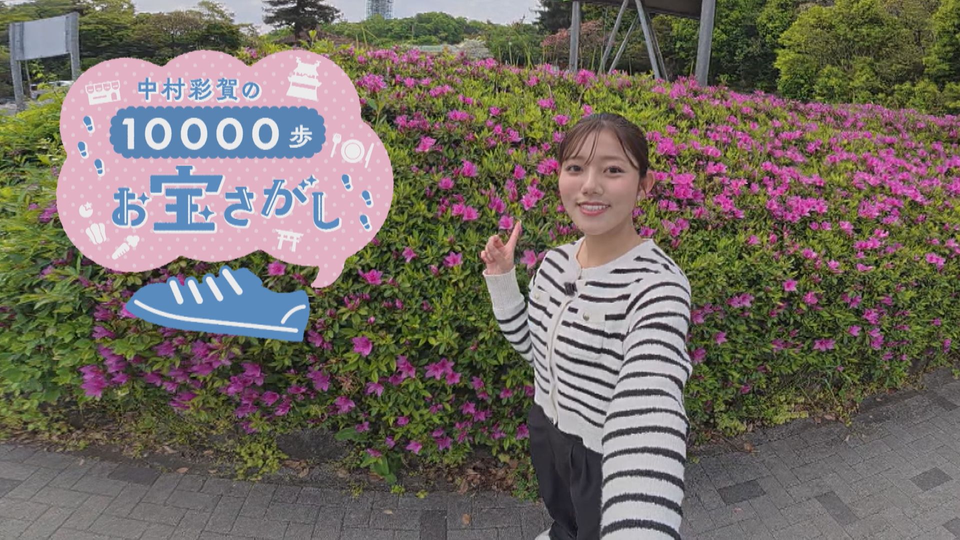 中村彩賀の10000歩お宝さがし｜東山公園周辺のお宝スポット探し！【チャント！特集】
