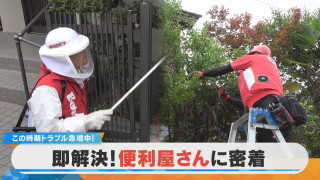 この時期トラブル急増中!即解決・便利屋さんに密着【チャント!特集】