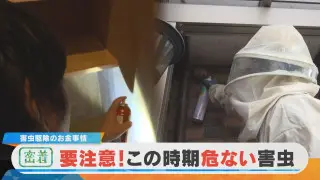 【密着】驚きの稼ぎ！？害虫駆除のお金事情 年間2500件！人気業者の最前線
