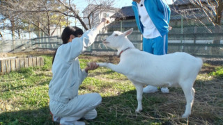 超ユニークな生徒の集まり…ヤギに『お手』を教える少女、猫と会話する男の子にアルプスじゃなく愛知県立佐屋高校で出会った