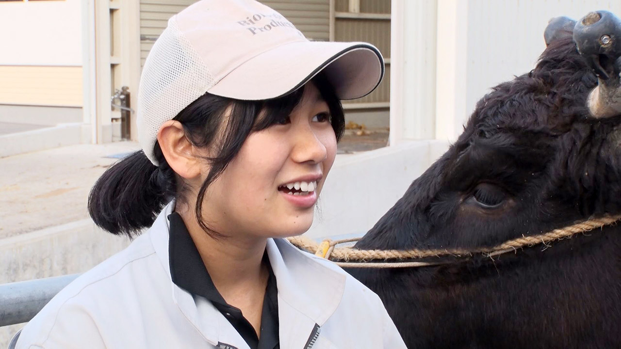 和牛甲子園で全国1位!…「出荷の時はせつないけど…」牛に青春捧げ愛情注ぐ高校生に飛騨高山高校 生物生産科で出会った