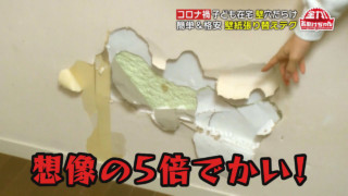 穴だらけの壁が大変身！簡単＆格安の壁紙張替えテク