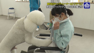 殺処分無くしたいと入学した生徒も…高校のドッグケアコースで目指す「犬のプロ」トリミングから介助技術まで
