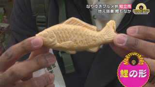 全てのテレビ取材NG！銘菓“鯉もなか”に、絶品“お箸で食べるやわらかミルフィーユカツ”　愛知県知立市でなりゆきグルメ旅！！