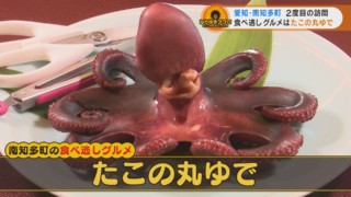 日間賀島の「タコの丸茹で」に、西尾のお抹茶体験！～なりゆきグルメ特別編～