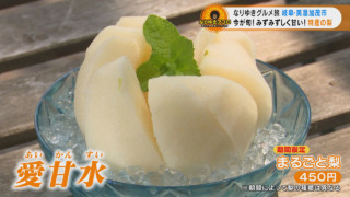 果汁バクハツ！とれたてジューシーな特産梨や、食べ放題のお惣菜ランチでおふくろの味を堪能！岐阜県美濃加茂市でなりゆきグルメ旅