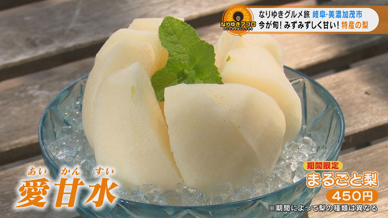 果汁バクハツ!とれたてジューシーな特産梨や、食べ放題のお惣菜ランチでおふくろの味を堪能!岐阜県美濃加茂市でなりゆきグルメ旅