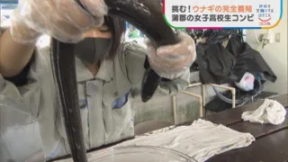 目指すは夢の完全養殖！ウナギに青春を捧げた女子高校生コンビ