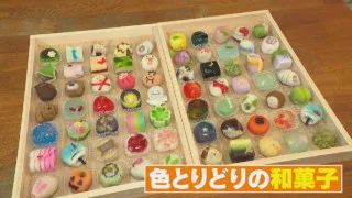 「インスタ映えする和のスイーツ」で売り上げ急増！難病を抱える芸大卒・愛知県豊橋市の女性和菓子デザイナーの挑戦！