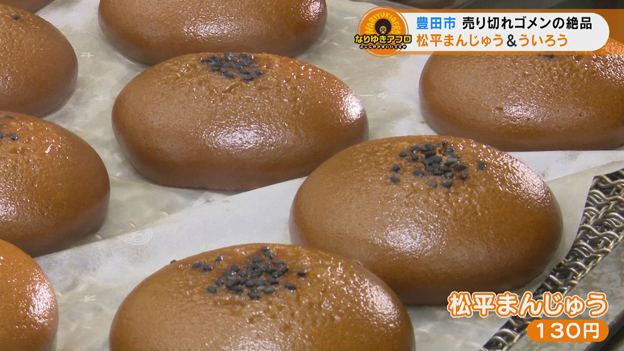 黒蜜香る!ふと食べたくなる地元の味「松平まんじゅう」に「ういろう」!愛知県豊田市でなりゆきグルメ旅
