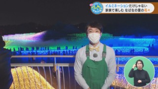 イルミネーションだけじゃない 家族で楽しむ なばなの里の花々
