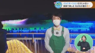 イルミネーションだけじゃない 家族で楽しむ なばなの里の花々