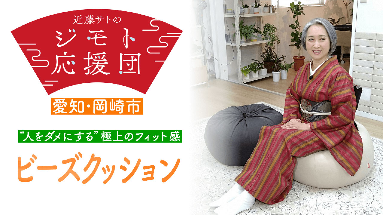 近藤サトも夢中! 極上の癒しで包み込むビーズクッション