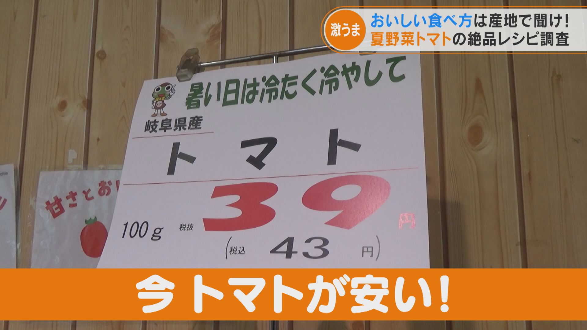 今年のトマトは市場に多く出回り価格が低下!?産地を調査していると“幻のトマト”も発見!