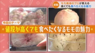 【レコMAP】モモ栽培のプロが教える!高くても食べたくなる魅力とは?【チャント!特集】