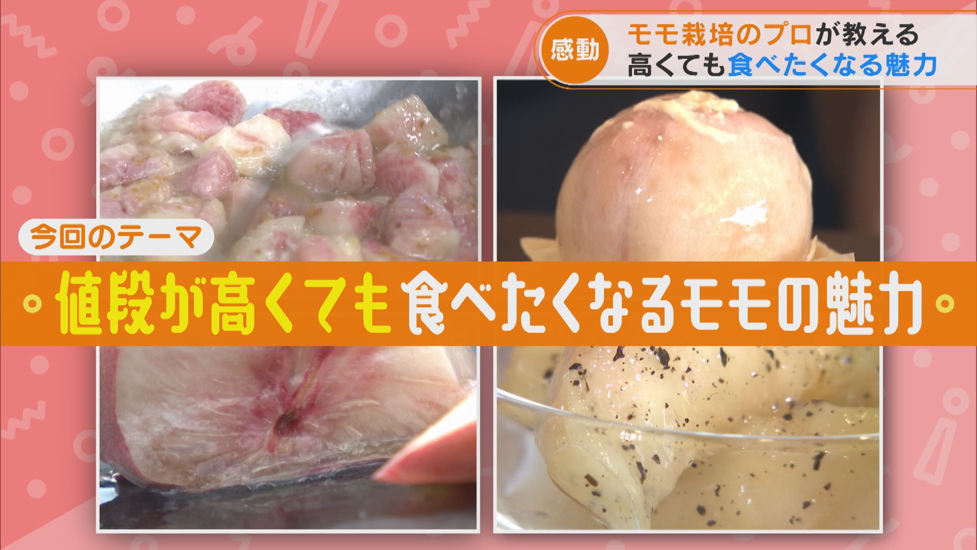 【レコMAP】モモ栽培のプロが教える!高くても食べたくなる魅力とは?【チャント!特集】
