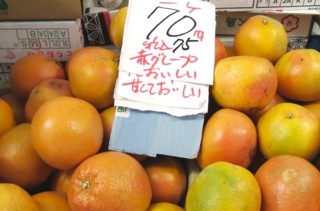 地名でつなぐ全国縦断の旅！１個あたり３２円の激安グレープフルーツに遭遇