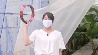 元知事・東国原さんもビックリの高級フルーツ 宮崎の新名物に期待!