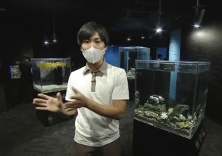高知に四国最大級の水族館がオープン 1万匹のイワシの群れに感動!