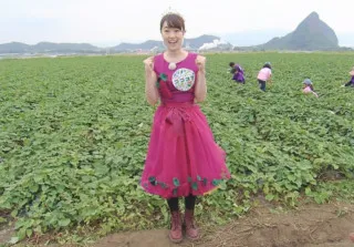 地熱が生んだ“魔法”のサツマイモ 鹿児島からプリンセスのリポート